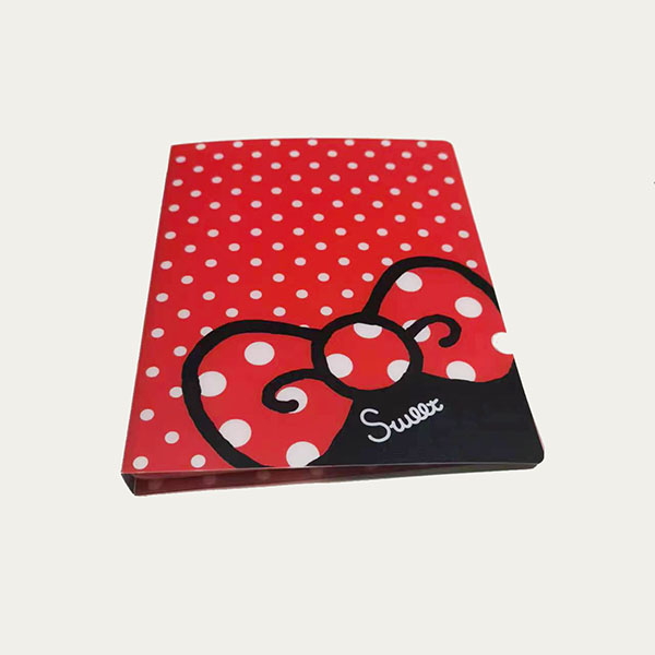 Plastic photo album with 20 pockets