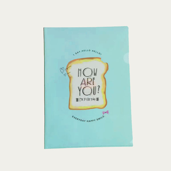 Customized A4 L shape file folder