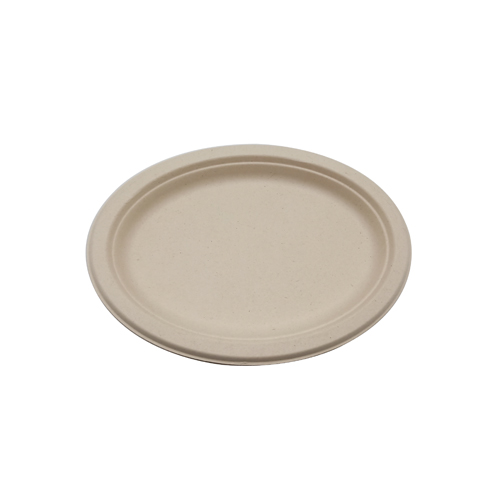 Oval sugarcane biodegradable plates