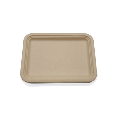 Rectangular grey sugarcane food tray