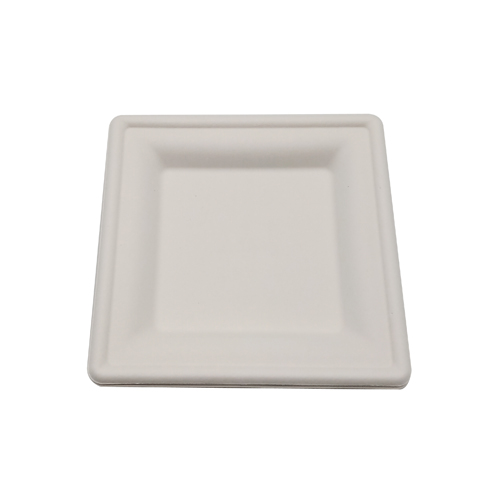 White square sugarcane lunch trays