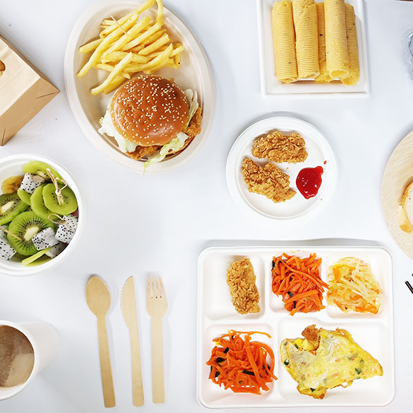Eco-Friendly Alternatives: Disposable Biodegradable Food Containers