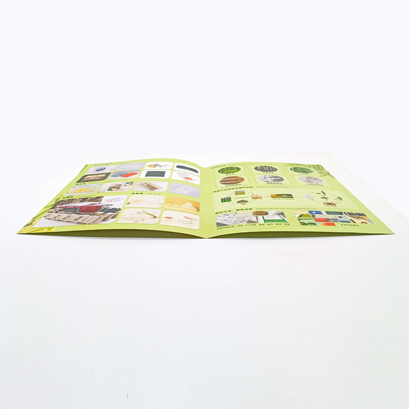 Custom Flyer Printing Service